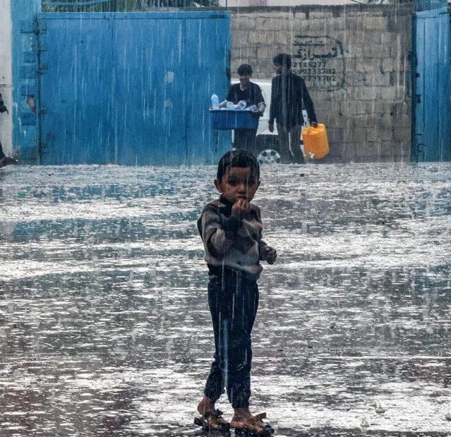 باقة الشتاء في غزة